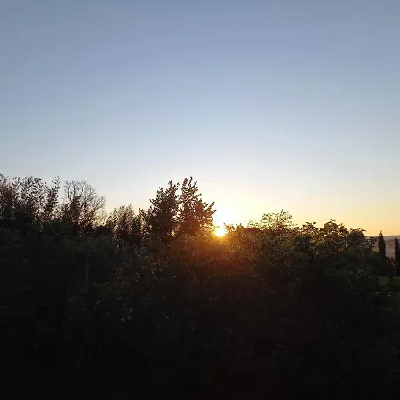 Hevizi Fecskefeszek Konukevi Hévíz