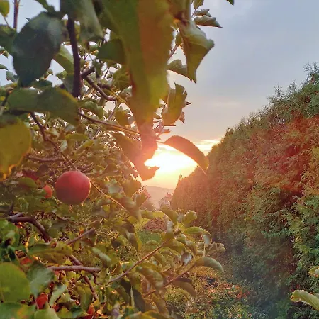 Hevizi Fecskefeszek Gasthof 3*