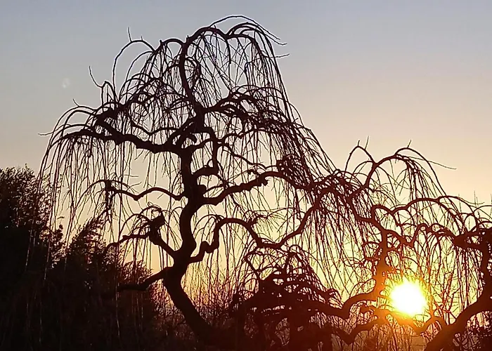 ゲストハウス Hevizi Fecskefeszek