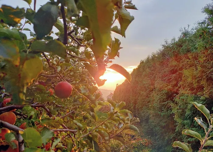 Hevizi Fecskefeszek ゲストハウス 3*