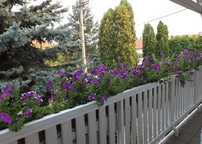 Hevizi Fecskefeszek ヘーヴィーズ